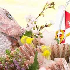 居酒屋 道後 鯛将 2