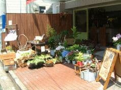 NICE ニース fleur&cafe 2