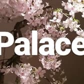 Palace パレス 3