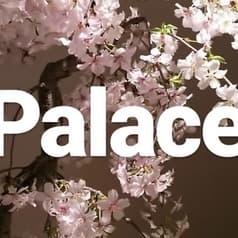 Palace パレス 2