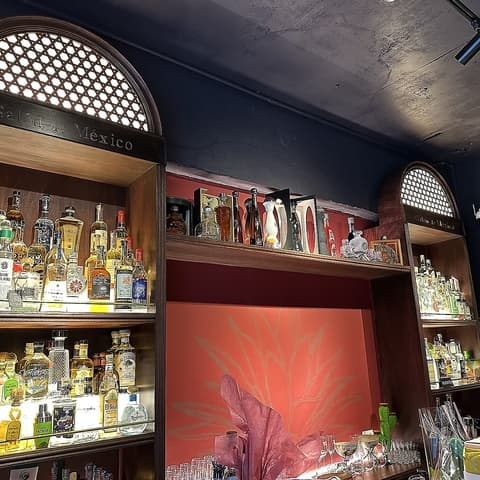 Salon de Mexico サロン ド メヒコ 