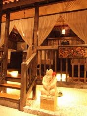 ベビーフェイスプラネッツ 苫小牧店 2