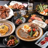 TOYOnoTORI Spice Curry 3