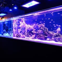 アクアリウム&BAR Numbar M ナンバーエム 2