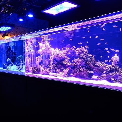 アクアリウム&BAR Numbar M ナンバーエム