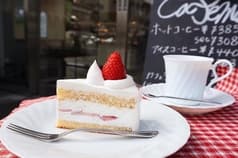 Sassy サッシー 2