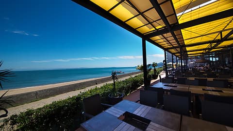 シーアイガ海月