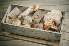 フライベッカーサヤ 2