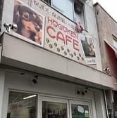 保護犬カフェ寺田町店 3