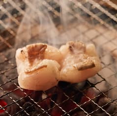 モッツバー高の家 デイズタウン本店 デイズタウン1F 2