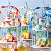 ハニトーカフェ 秋葉原店 3