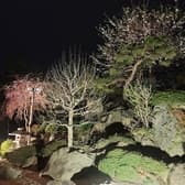 蕎麦と和食 驚 3