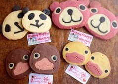 19HITOYASUMI 砺波店 2