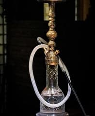 シーシャたぬき 心斎橋店 2