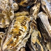 かき小屋 新宿 3