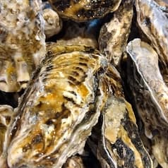 かき小屋 新宿 2