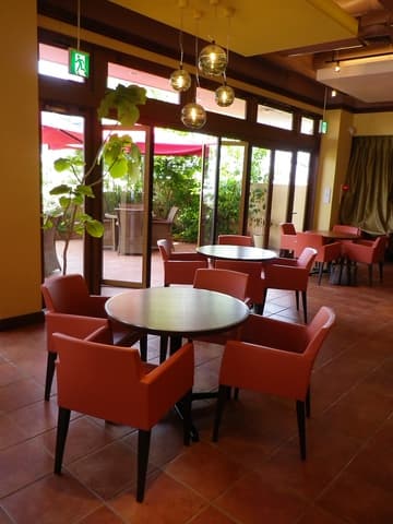 センプレコンテ パティオ