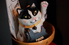 ねこじろう necojiro 明大前 2