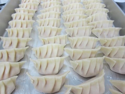 幡ヶ谷 餃子 モチチ