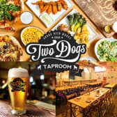 Two Dogs Taproom トゥードッグスタップルーム 3