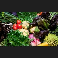 A alla Z 新潟店 2