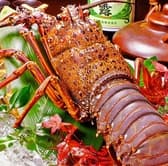 はかた かごんま料理 たけんこ 鹿児島 天文館 3