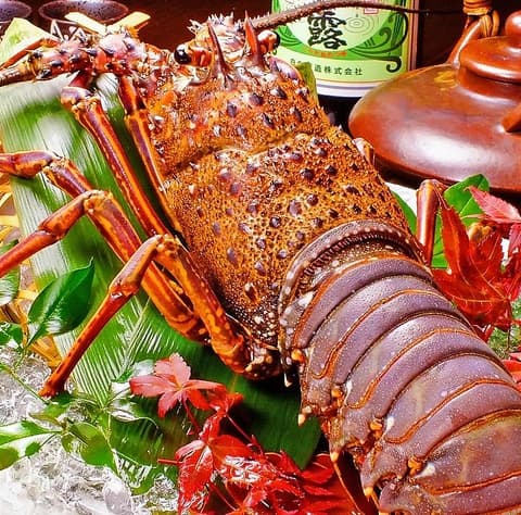 はかた かごんま料理 たけんこ 鹿児島 天文館