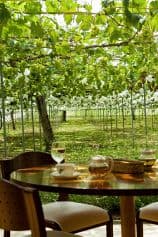 ぶどうの木 金沢 2