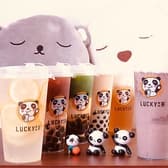 Lucky 茶 3