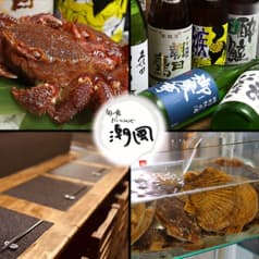 旬食だいにんぐ 潮風 船橋 2