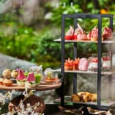 Dusit Gallery デュシット ギャラリー デュシタニ京都 3