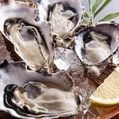 いかだ荘 山上 3