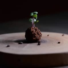 Ristorante Narvaro リストランテ ナーヴァロ 2