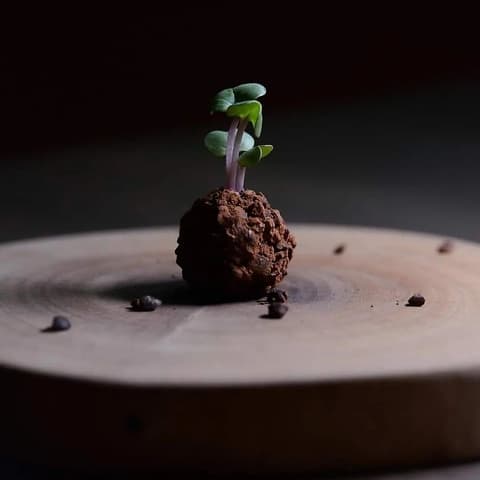 Ristorante Narvaro リストランテ ナーヴァロ