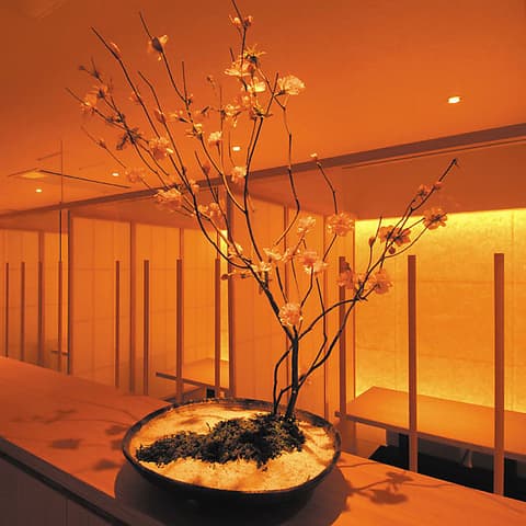 Wa.Bi.Sai 花ごころ 琴似店