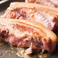 サムギョプサル nicoya 2