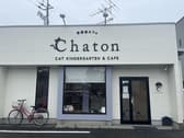 保護猫カフェ CHATON 3