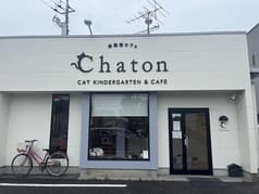 保護猫カフェ CHATON 2