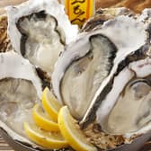 牡蠣場 北海道厚岸 コレド室町 3