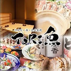 とりうお TORI魚 新宿店 2