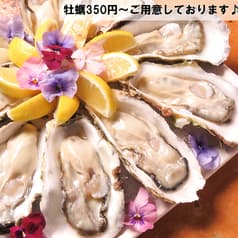 totochee トトチー 新松戸店 2