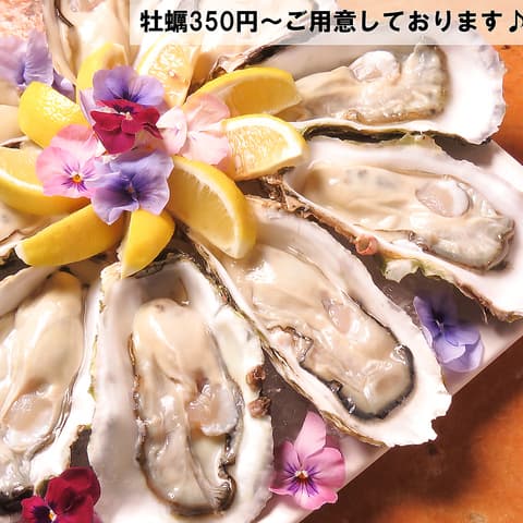 totochee トトチー 新松戸店