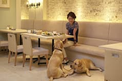 ザ フォレストテラス 2