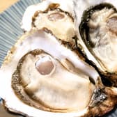 【産地直送・生牡蠣100円】かきのおきて　池袋店 3