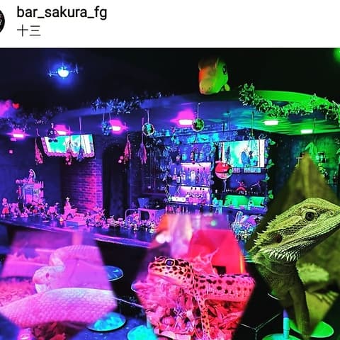 BAR SakuRa