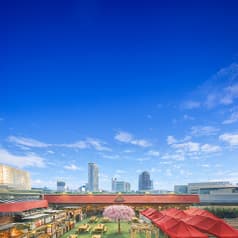 東武百貨店 池袋店 桜ビアフェスタ2026 2