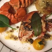 zuiho jr. cafe ズイホウ ジュニアカフェ 3