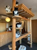 ねこカフェ CAT・walk 3