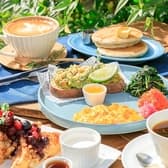 512 CAFE&SWEETS ゴーイチニ カフェアンドスウィーツ 3