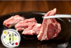 溶岩焼ジンギスカン たまり 2